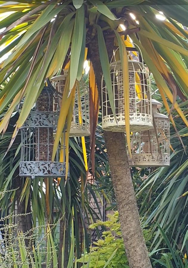 Tropical Garden Oasis Rooms Birmingham Bagian luar foto