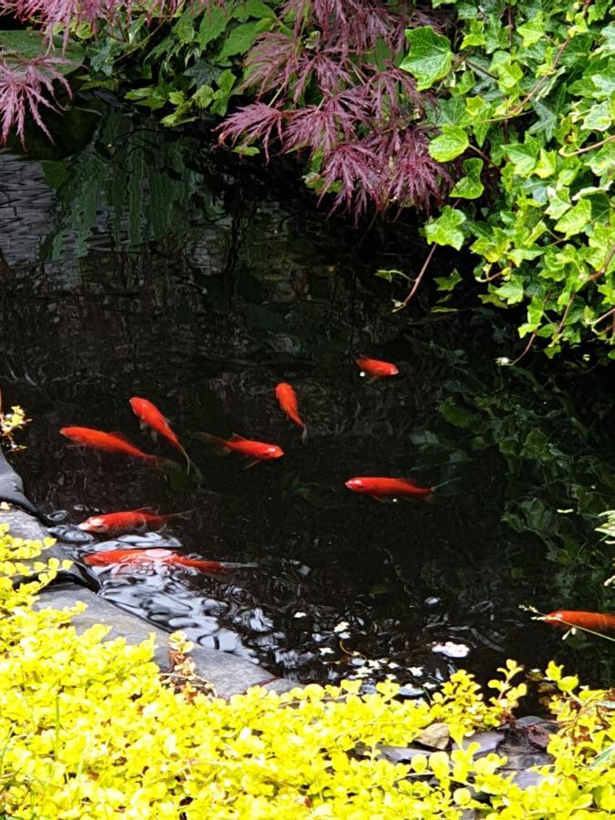 Tropical Garden Oasis Rooms Birmingham Bagian luar foto