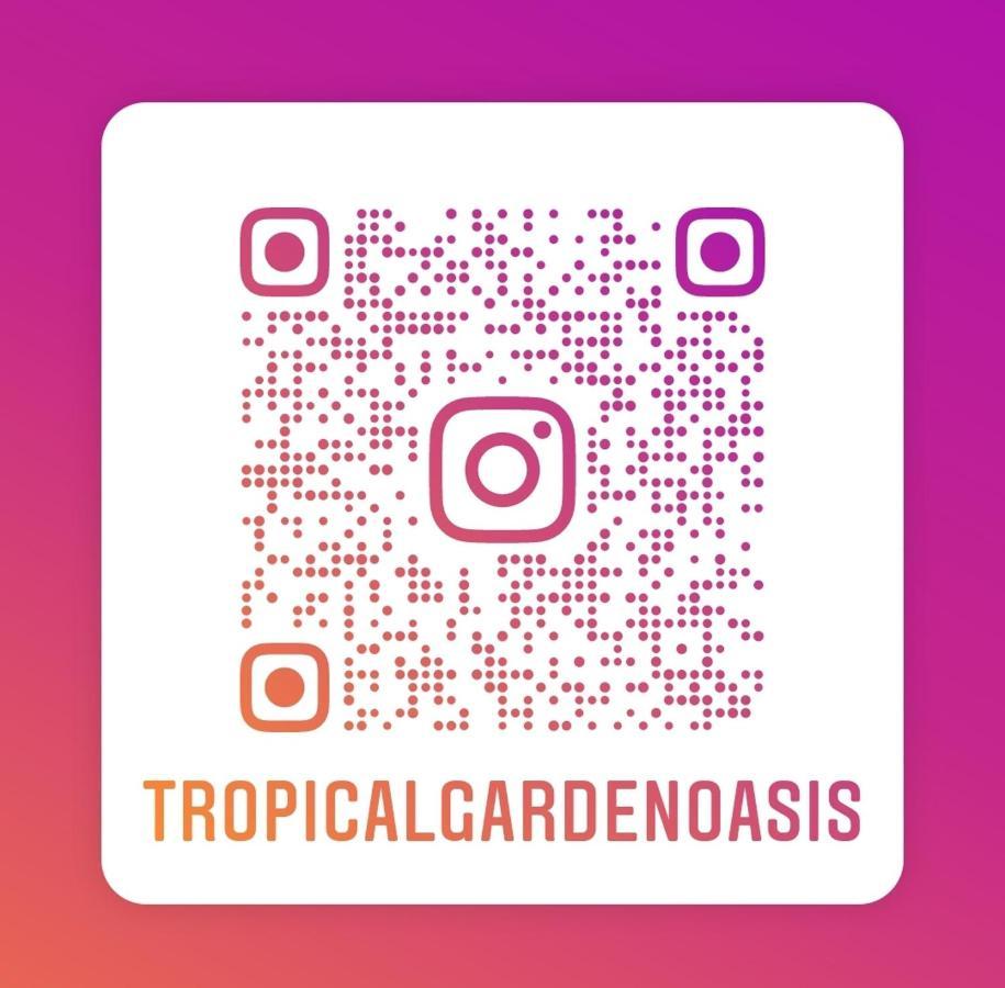 Tropical Garden Oasis Rooms Birmingham Bagian luar foto