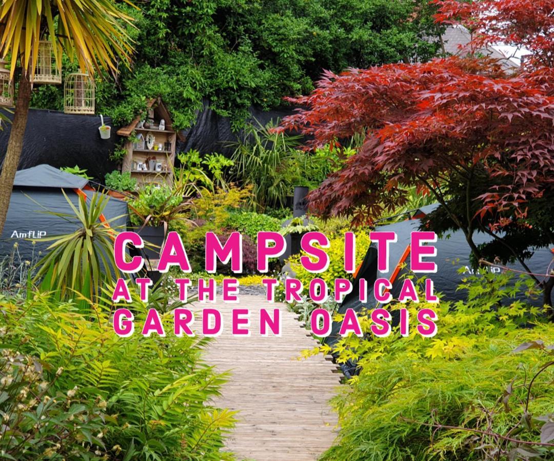 Tropical Garden Oasis Rooms Birmingham Ruang foto
